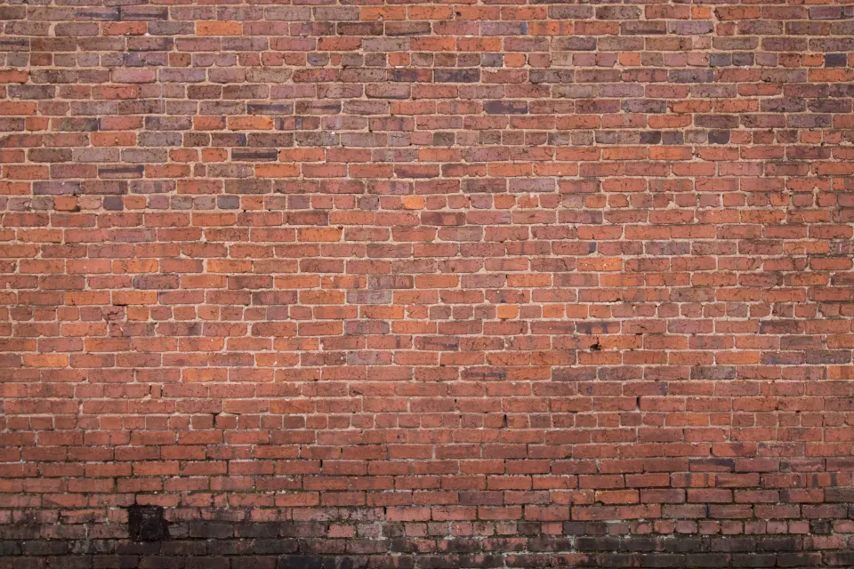 Whole-wall repoint